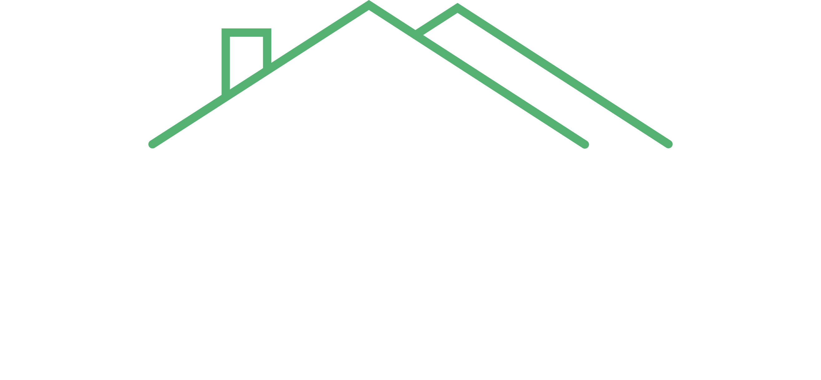 TaitoTeho PurkuTaito